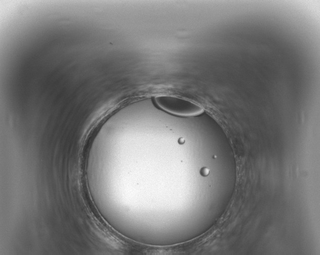 X0000062150293200512121315