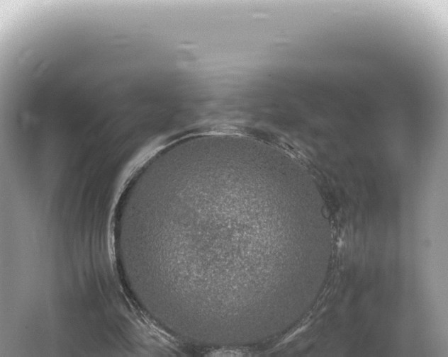 X0000062150294200512121315