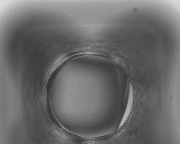 X0000062150295200512121315