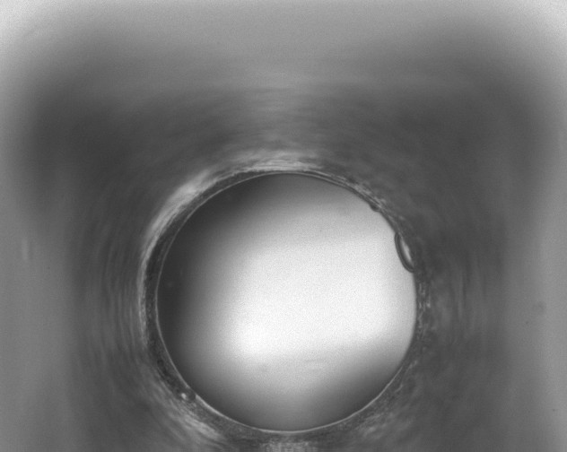 X0000062150296200512121315