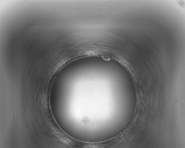 X0000062150297200512121315