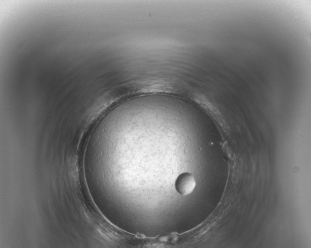 X0000062150298200512121315