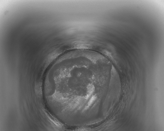 X0000062150299200512121315