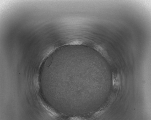 X0000062150300200512121315