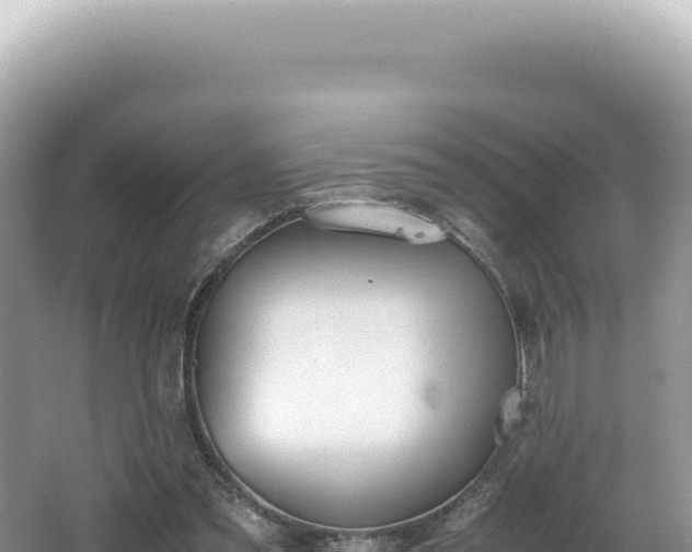 X0000062150301200512121315