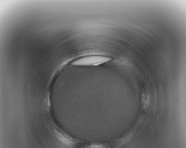 X0000062150302200512121315