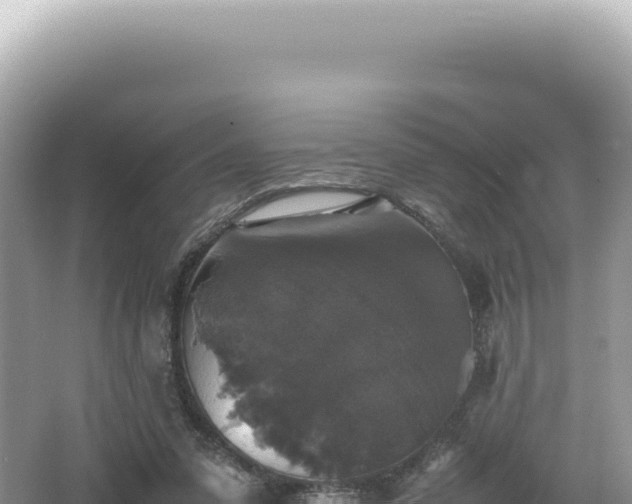 X0000062150303200512121315