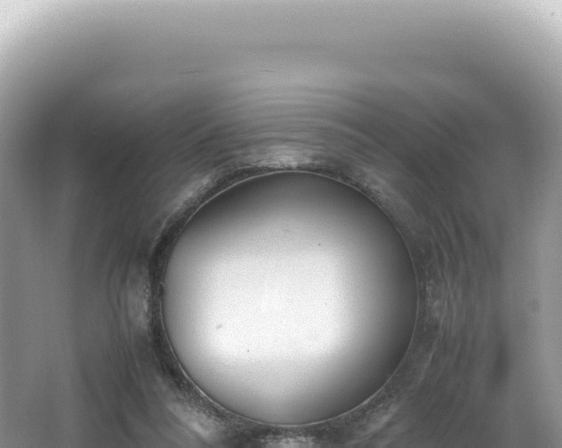 X0000062150304200512121315