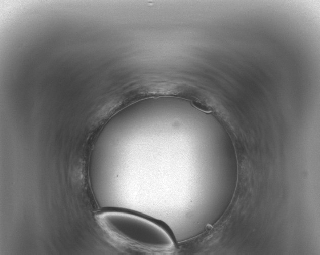 X0000062150305200512121315