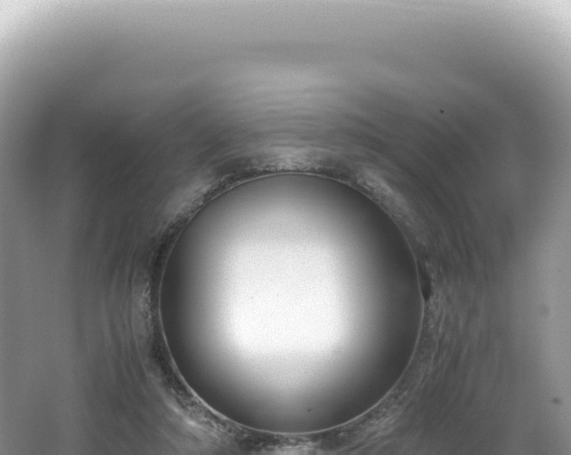 X0000062150306200512121315