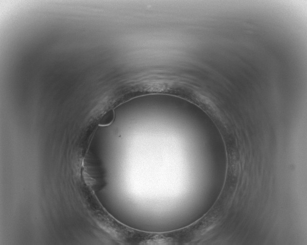 X0000062150307200512121315