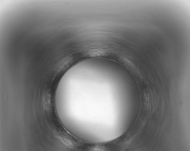 X0000062150308200512121315