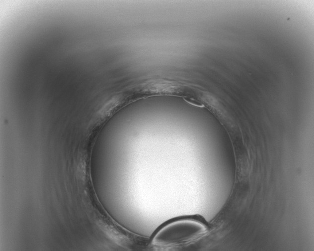 X0000062150309200512121315