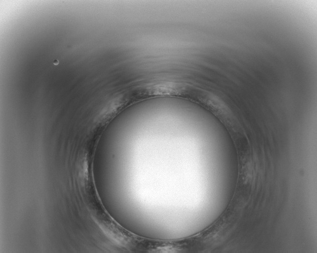 X0000062150310200512121315