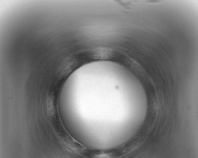 X0000062150312200512121314