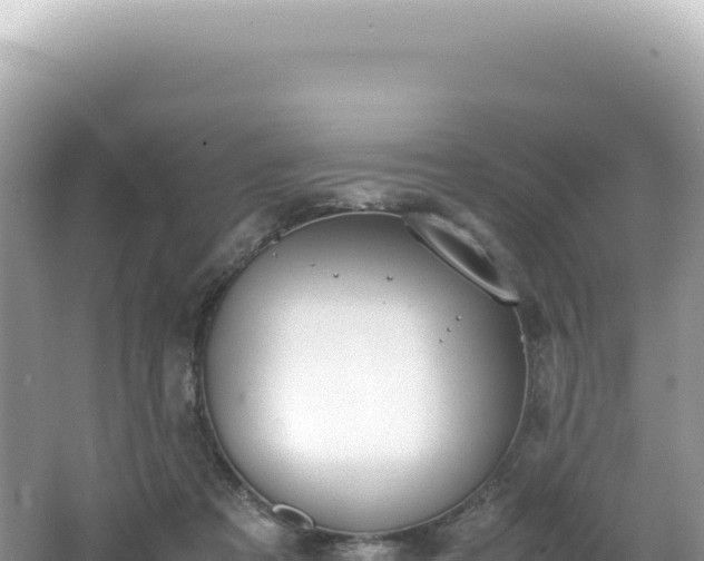 X0000062150313200512121314