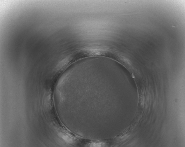 X0000062150314200512121314