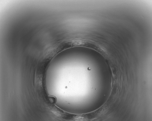 X0000062150315200512121314