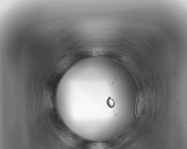 X0000062150316200512121314