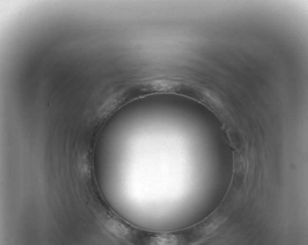 X0000062150317200512121314