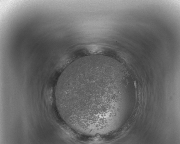 X0000062150319200512121314