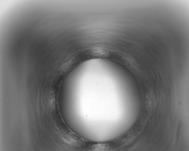 X0000062150320200512121314