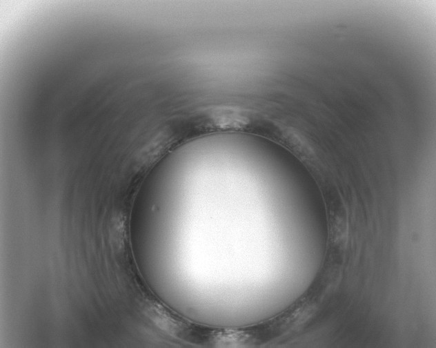 X0000062150321200512121314