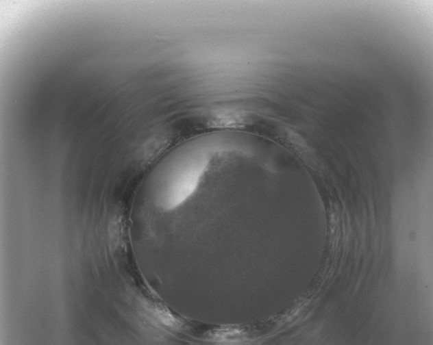 X0000062150322200512121314