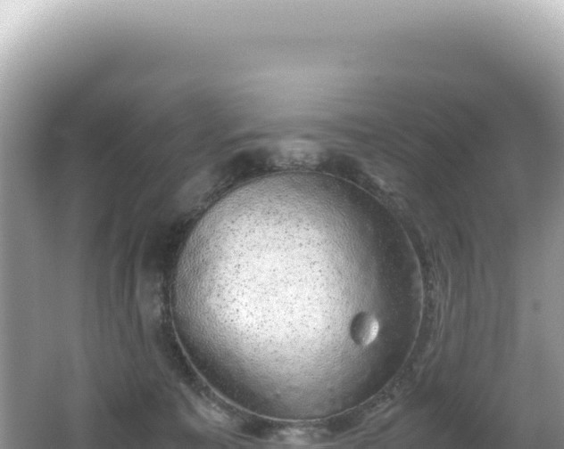 X0000062150323200512121314