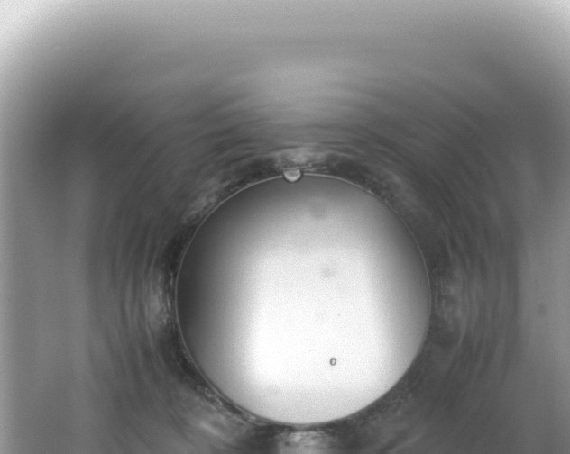 X0000062150324200512121314