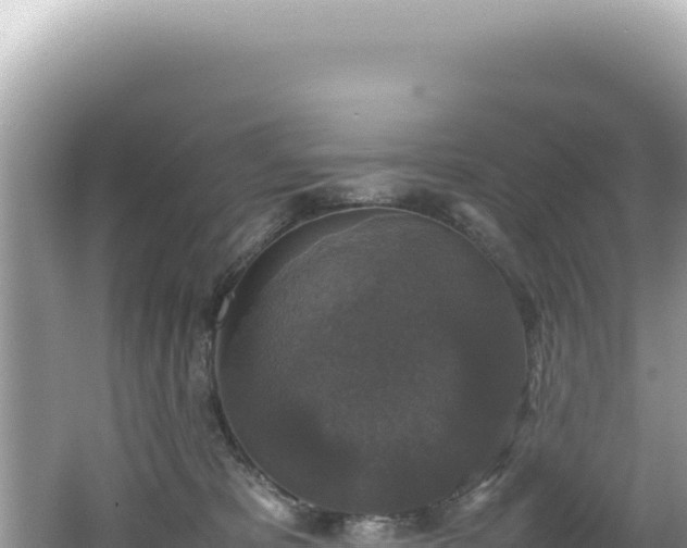 X0000062150325200512121314