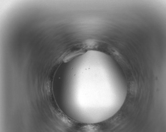 X0000062150326200512121314