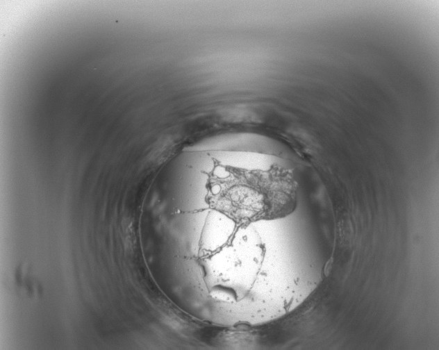 X0000062150327200512121314