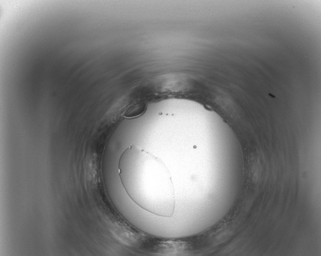 X0000062150328200512121314