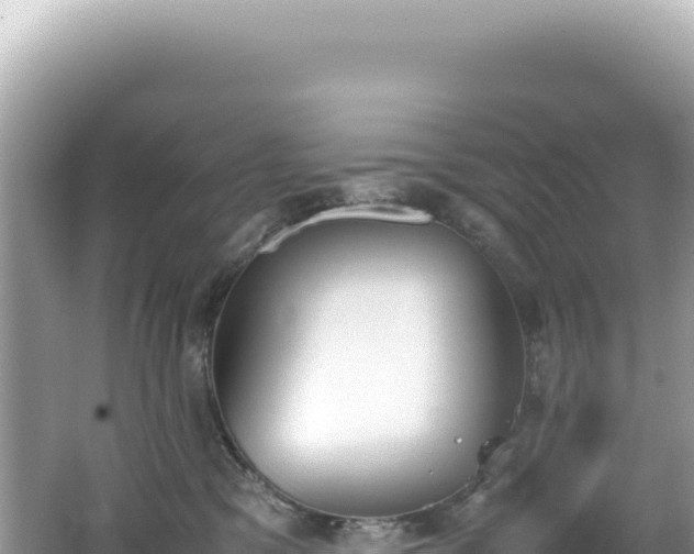 X0000062150329200512121314