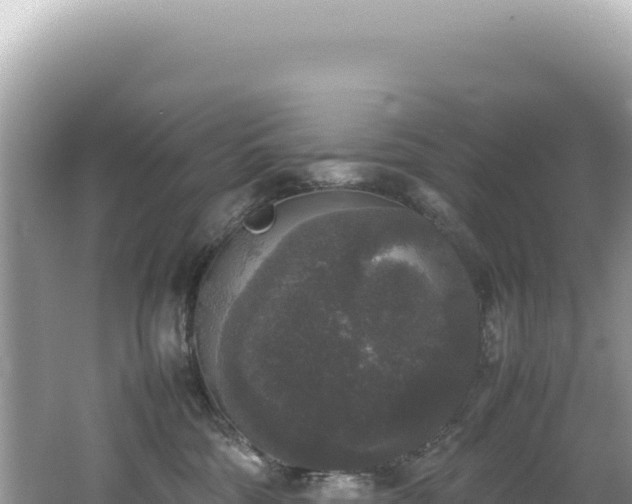 X0000062150330200512121314