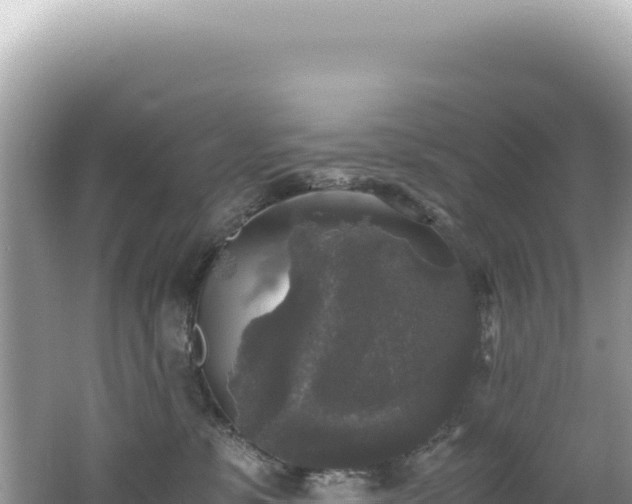 X0000062150331200512121314