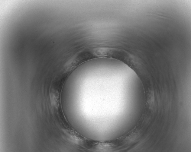 X0000062150332200512121314