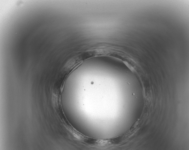 X0000062150333200512121314