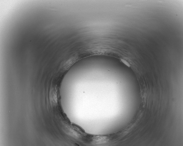 X0000062150334200512121314