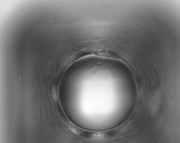 X0000062150335200512121314