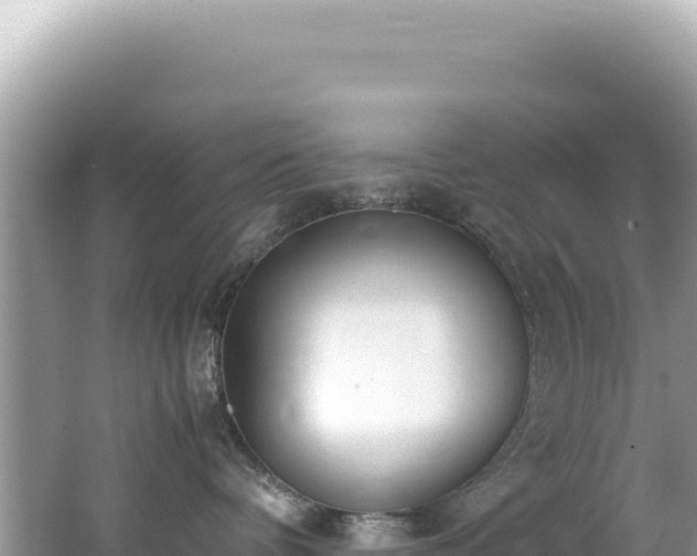 X0000062150336200512121314