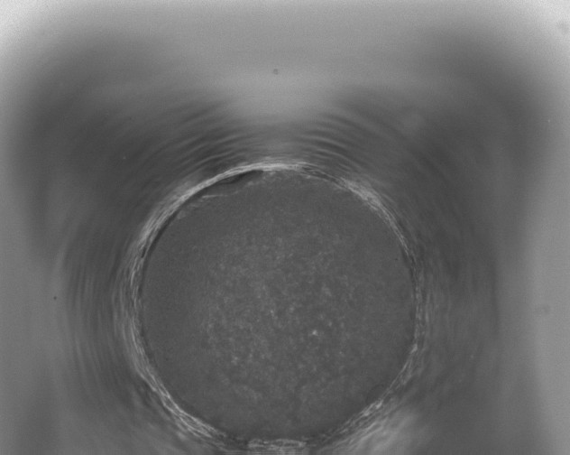 X0000062150337200512121313