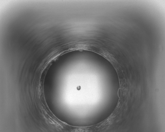 X0000062150338200512121313