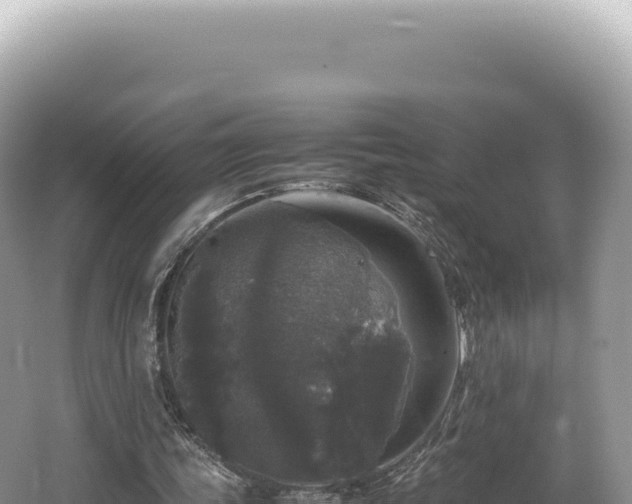 X0000062150339200512121313