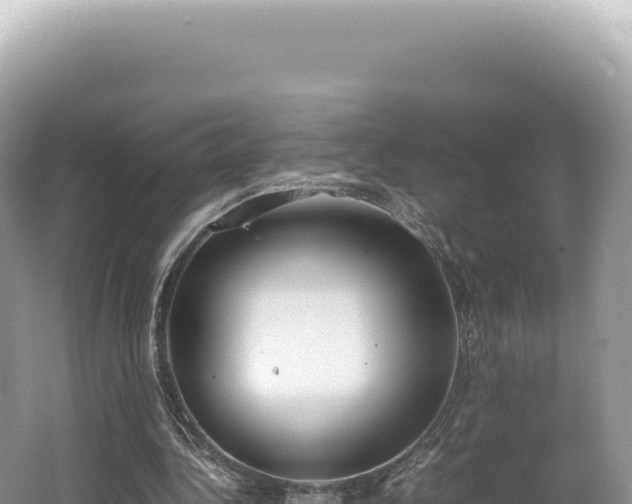 X0000062150340200512121313