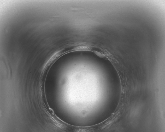 X0000062150341200512121313