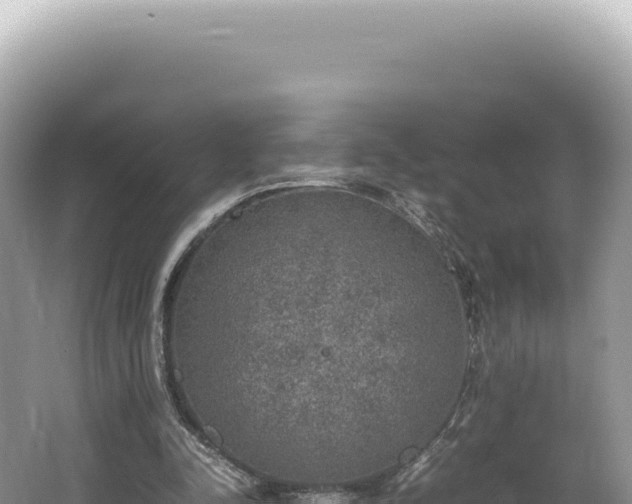 X0000062150342200512121313