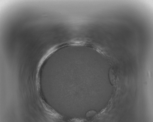 X0000062150343200512121313