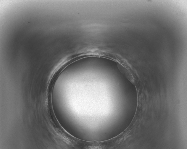 X0000062150344200512121313